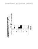 METHODS OF MAKING DLL3 ANTIBODY DRUG CONJUGATES diagram and image