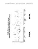 METHODS OF MAKING DLL3 ANTIBODY DRUG CONJUGATES diagram and image