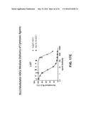 METHODS OF MAKING DLL3 ANTIBODY DRUG CONJUGATES diagram and image