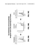 METHODS OF MAKING DLL3 ANTIBODY DRUG CONJUGATES diagram and image