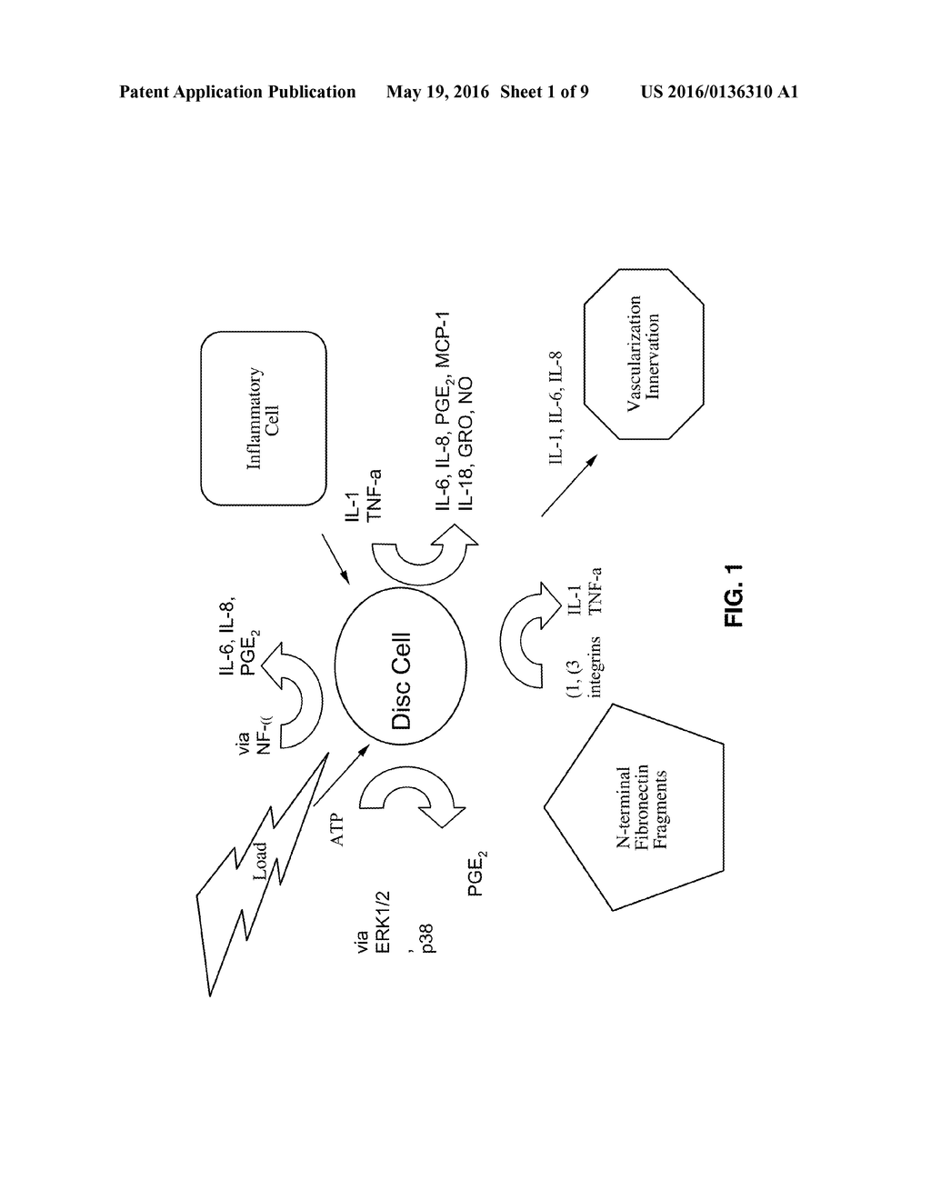 SYSTEMS, COMPOSITIONS, AND METHODS FOR LOCAL IMAGING AND TREATMENT OF PAIN - diagram, schematic, and image 02