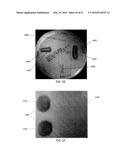 ENHANCEMENT OF ANTIMICROBIAL SILVER, SILVER COATINGS, OR SILVER PLATINGS diagram and image