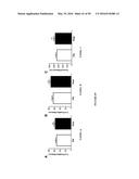 BIOCERAMIC COMPOSITIONS AND BIOMODULATORY USES THEREOF diagram and image