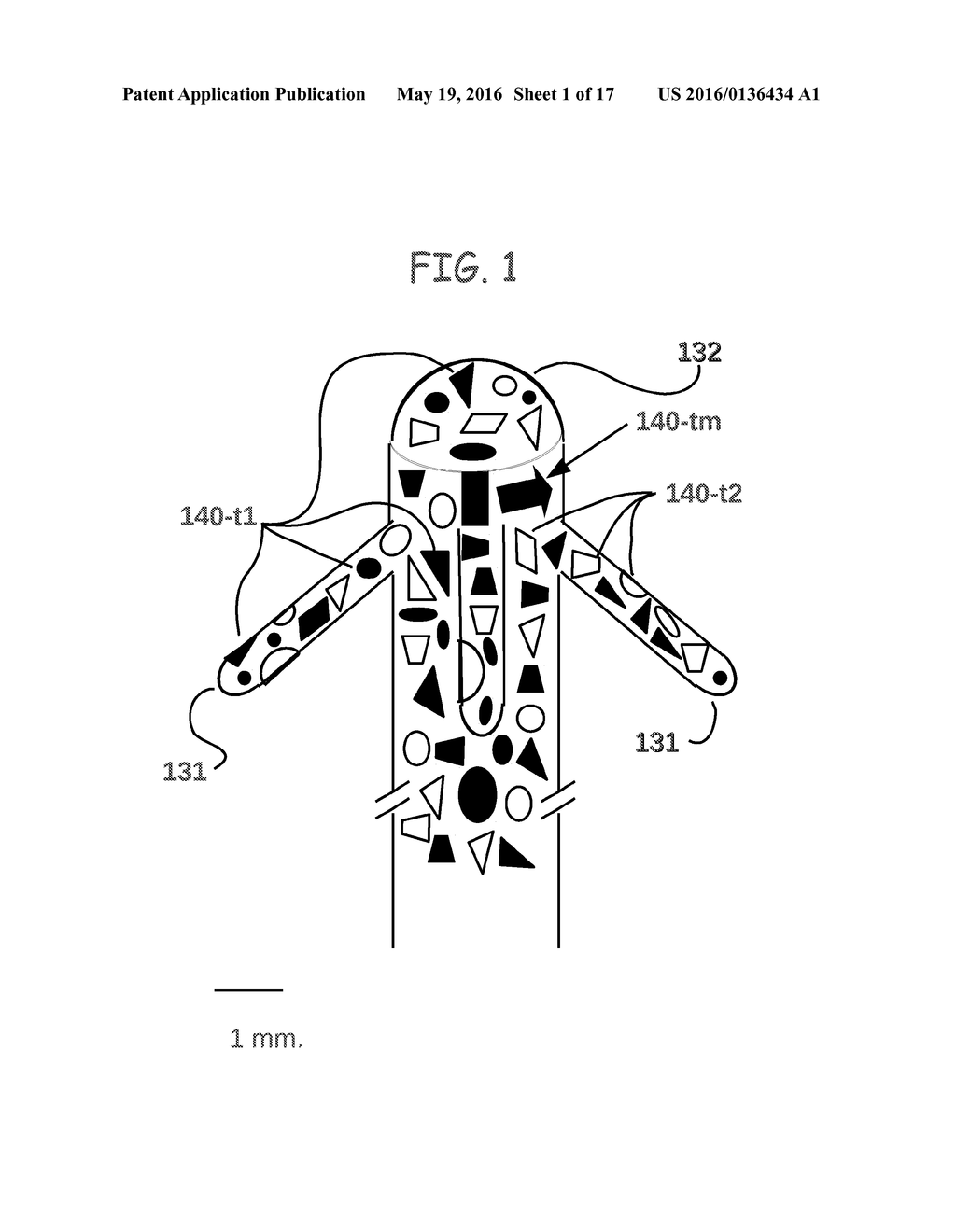 Animal and plant cell electric stimulator with randomized spatial     distribution of electrodes for both electric field shaping and for     current injection - diagram, schematic, and image 02