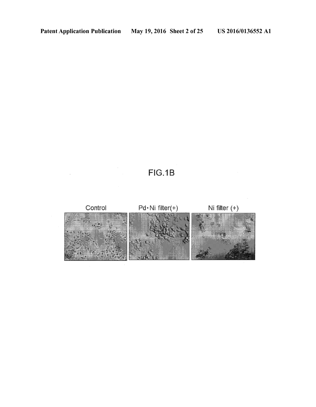 DEVICE FOR ISOLATING PERIPHERY CIRCULATING TUMOR CELLS OR RARE CELLS, AND     METHOD OF ISOLATING PERIPHERY CIRCULATING TUMOR CELLS OR RARE CELLS - diagram, schematic, and image 03