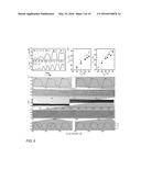 Method of preparing a bidirectional shape-memory actuator and method of     its use diagram and image