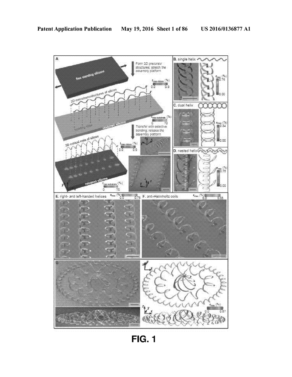 DETERMINISTIC ASSEMBLY OF COMPLEX, THREE-DIMENSIONAL ARCHITECTURES BY     COMPRESSIVE BUCKLING - diagram, schematic, and image 02