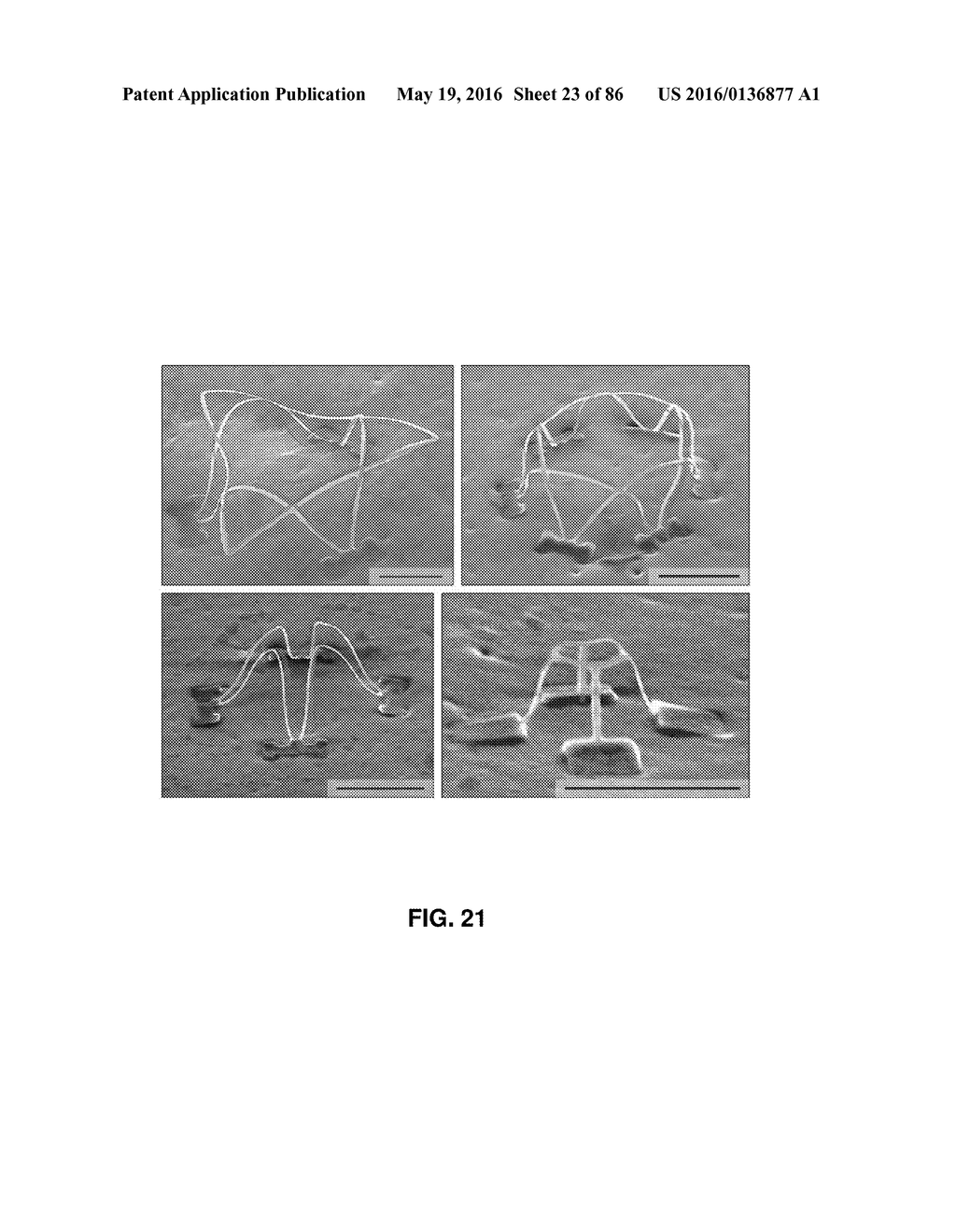 DETERMINISTIC ASSEMBLY OF COMPLEX, THREE-DIMENSIONAL ARCHITECTURES BY     COMPRESSIVE BUCKLING - diagram, schematic, and image 24