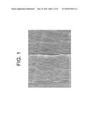 Porous Articles Formed From Polyparaxylylene and Processes For Forming The     Same diagram and image