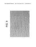 Porous Articles Formed From Polyparaxylylene and Processes For Forming The     Same diagram and image