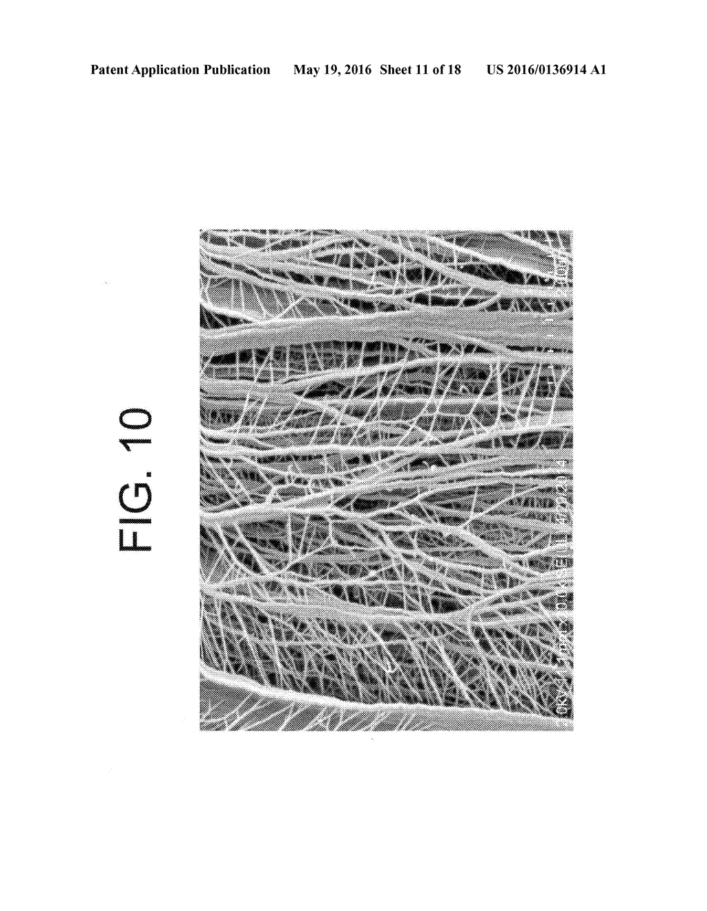 Porous Articles Formed From Polyparaxylylene and Processes For Forming The     Same - diagram, schematic, and image 12