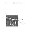 MELT-BLOWN FIBER WEB HAVING IMPROVED ELASTICITY AND COHESION, AND     MANUFACTURING METHOD THEREFOR diagram and image