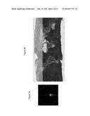 Satellite System and Method for Global Coverage diagram and image