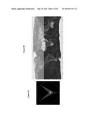 Satellite System and Method for Global Coverage diagram and image