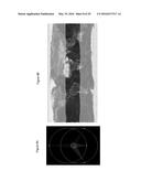 Satellite System and Method for Global Coverage diagram and image