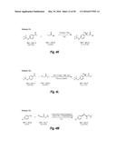 NOVEL COMPOUNDS ADVANTAGEOUS IN THE TREATMENT OF CENTRAL NERVOUS SYSTEM     DISEASES AND DISORDERS diagram and image