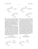 NOVEL COMPOUNDS ADVANTAGEOUS IN THE TREATMENT OF CENTRAL NERVOUS SYSTEM     DISEASES AND DISORDERS diagram and image