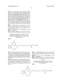 NEW MACROCYCLIC AMIDINOUREA DERIVATIVES, METHODS OF PREPARATION AND USES     THEREOF AS CHITINASE INHIBITORS diagram and image