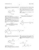 NEW MACROCYCLIC AMIDINOUREA DERIVATIVES, METHODS OF PREPARATION AND USES     THEREOF AS CHITINASE INHIBITORS diagram and image