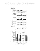 INDUCTION OF GATA2 BY HDAC1 AND HDAC2 INHIBITORS diagram and image