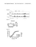 INDUCTION OF GATA2 BY HDAC1 AND HDAC2 INHIBITORS diagram and image