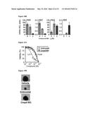 INDUCTION OF GATA2 BY HDAC1 AND HDAC2 INHIBITORS diagram and image