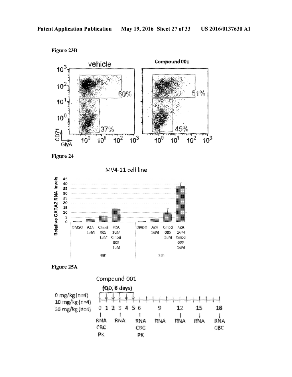 INDUCTION OF GATA2 BY HDAC1 AND HDAC2 INHIBITORS - diagram, schematic, and image 28