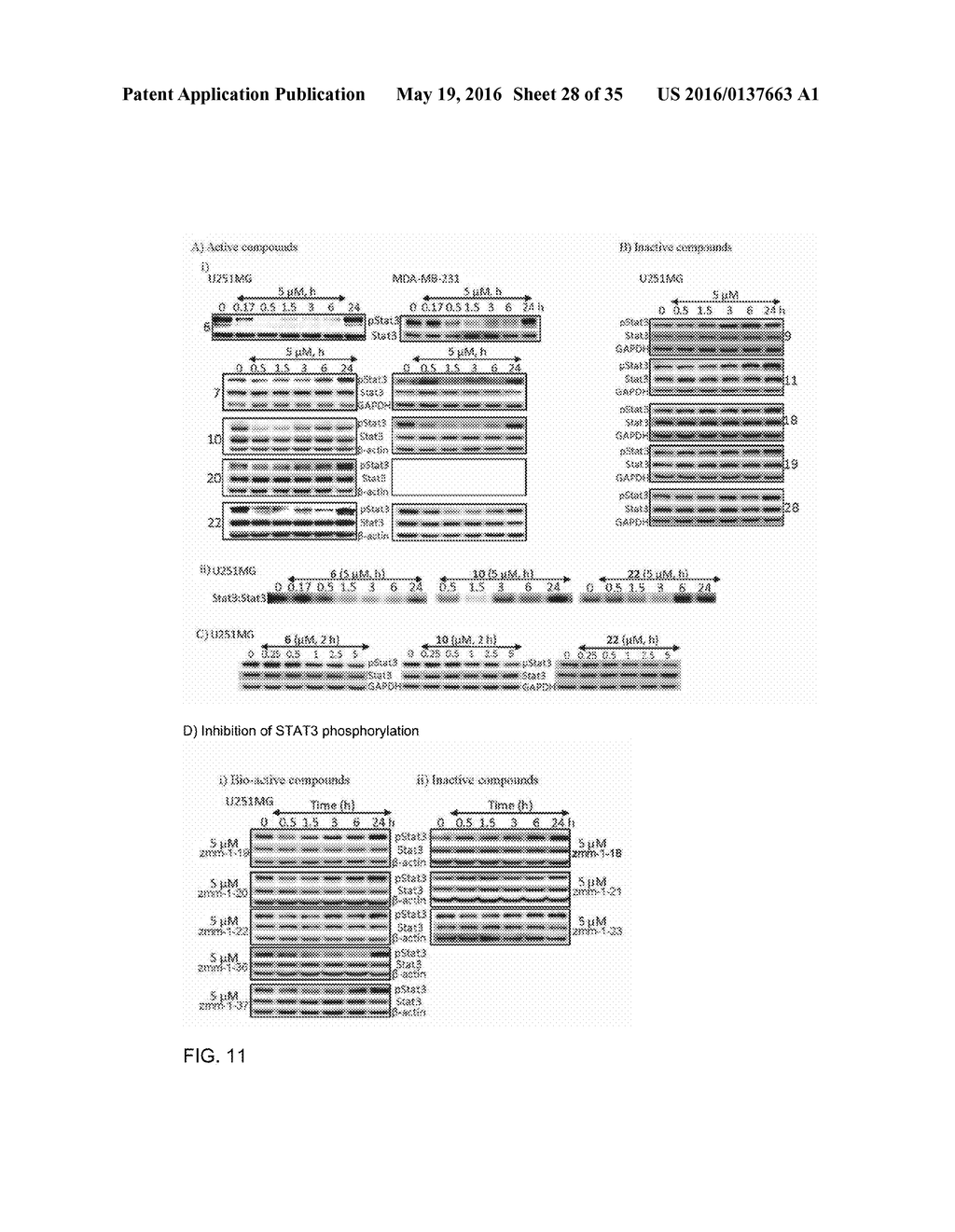 NOVEL SESQUITERPENOID STAT3 INHIBITORS - diagram, schematic, and image 29