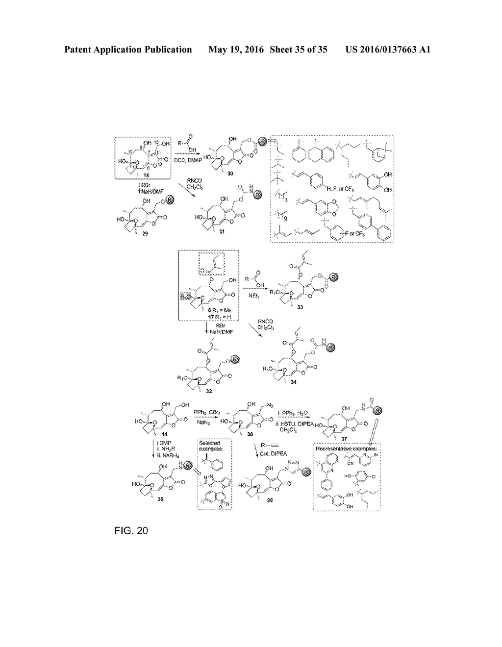 NOVEL SESQUITERPENOID STAT3 INHIBITORS - diagram, schematic, and image 36