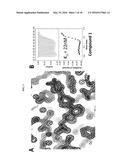 COMPOSITIONS COMPRISING THIENOPYRIMIDINE AND THIENOPYRIDINE COMPOUNDS AND     METHODS OF USE THEREOF diagram and image