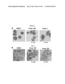 COMPOSITIONS COMPRISING THIENOPYRIMIDINE AND THIENOPYRIDINE COMPOUNDS AND     METHODS OF USE THEREOF diagram and image