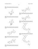 NUCLEOSIDE PHOSPHORAMIDATES AND PHOSPHORAMIDITES diagram and image