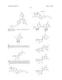 NUCLEOSIDE PHOSPHORAMIDATES AND PHOSPHORAMIDITES diagram and image