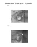 Peptide and Complex of Same, Scaffold for Tissue Repair and Surface     Treatment Method for Same, and Surface Treatment Solution or Set of     Treatment Solutions diagram and image