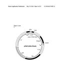 BIOSYNTHETIC PROLINE/ALANINE RANDOM COIL POLYPEPTIDES AND THEIR USES diagram and image