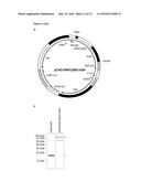 BIOSYNTHETIC PROLINE/ALANINE RANDOM COIL POLYPEPTIDES AND THEIR USES diagram and image