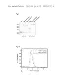 BIOSYNTHETIC PROLINE/ALANINE RANDOM COIL POLYPEPTIDES AND THEIR USES diagram and image