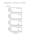 BIOSYNTHETIC PROLINE/ALANINE RANDOM COIL POLYPEPTIDES AND THEIR USES diagram and image