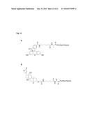 BIOSYNTHETIC PROLINE/ALANINE RANDOM COIL POLYPEPTIDES AND THEIR USES diagram and image