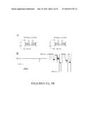 MSP Nanopores and Related Methods diagram and image