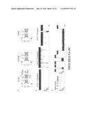 MSP Nanopores and Related Methods diagram and image