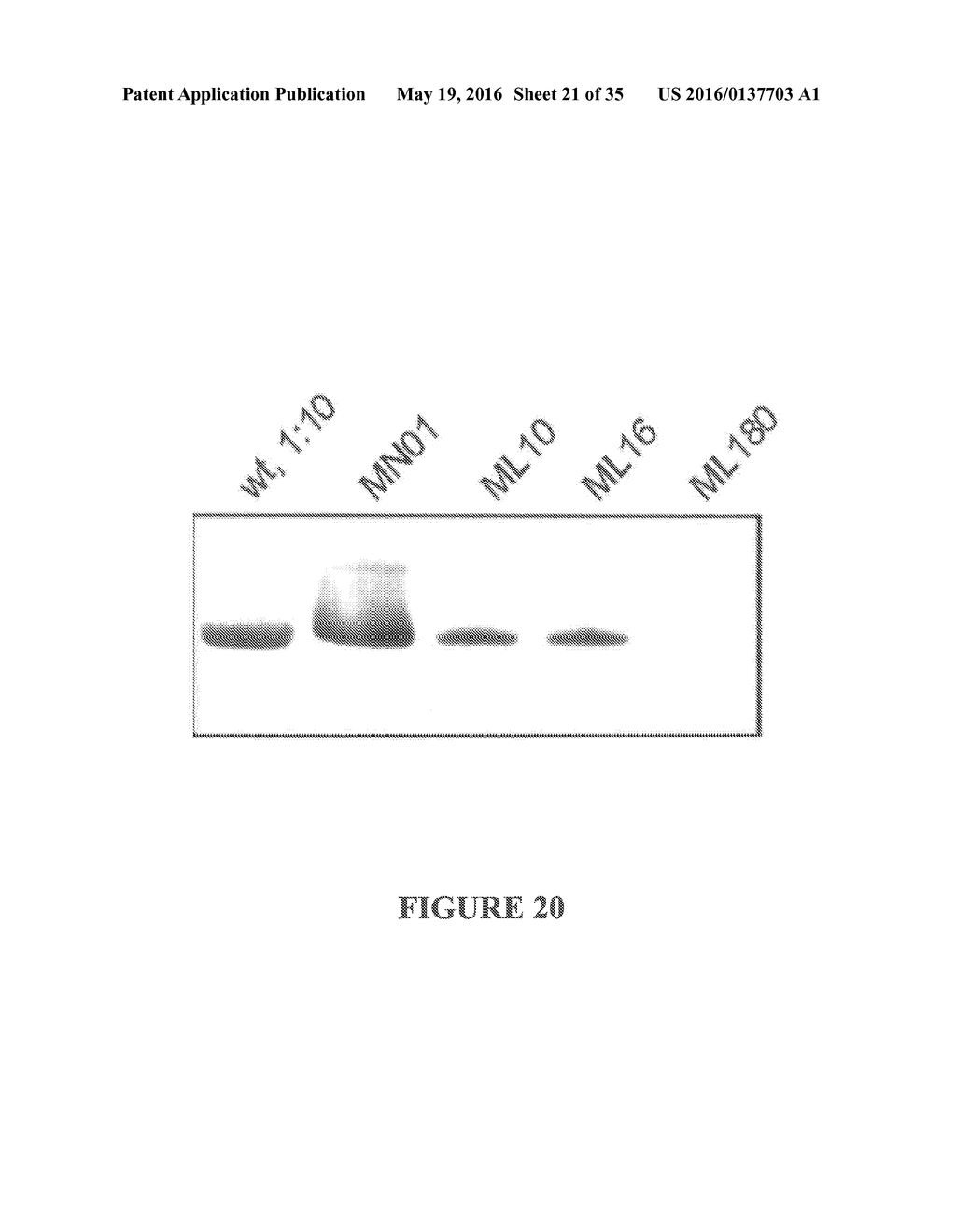 MSP Nanopores and Related Methods - diagram, schematic, and image 22