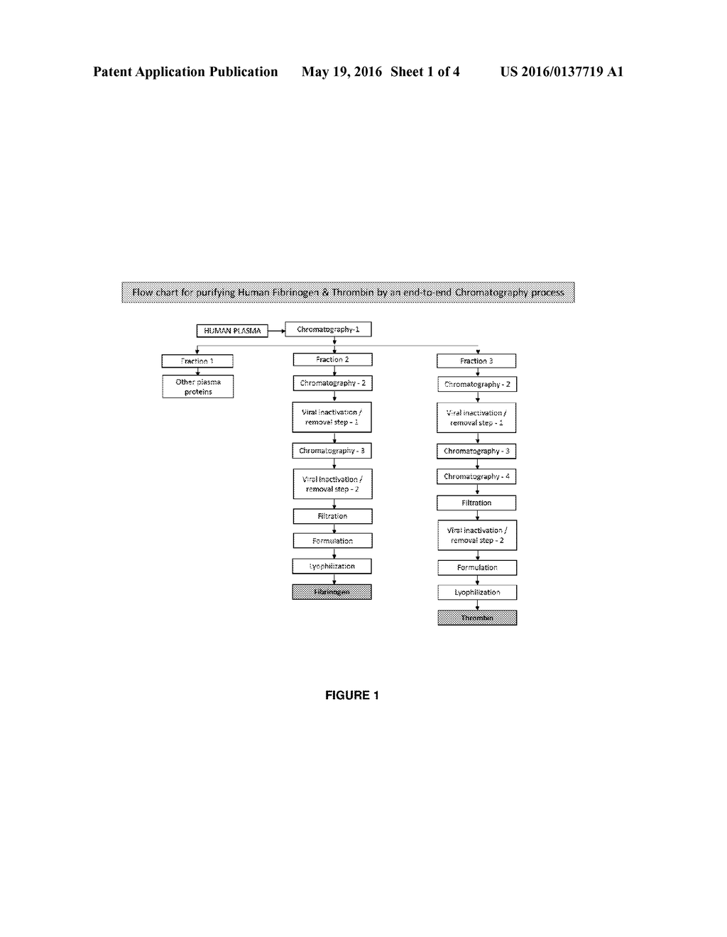 PROCESS FOR PRODUCING HIGH PURITY FIBRINOGEN AND THROMBIN FOR FIBRIN     SEALANT - diagram, schematic, and image 02