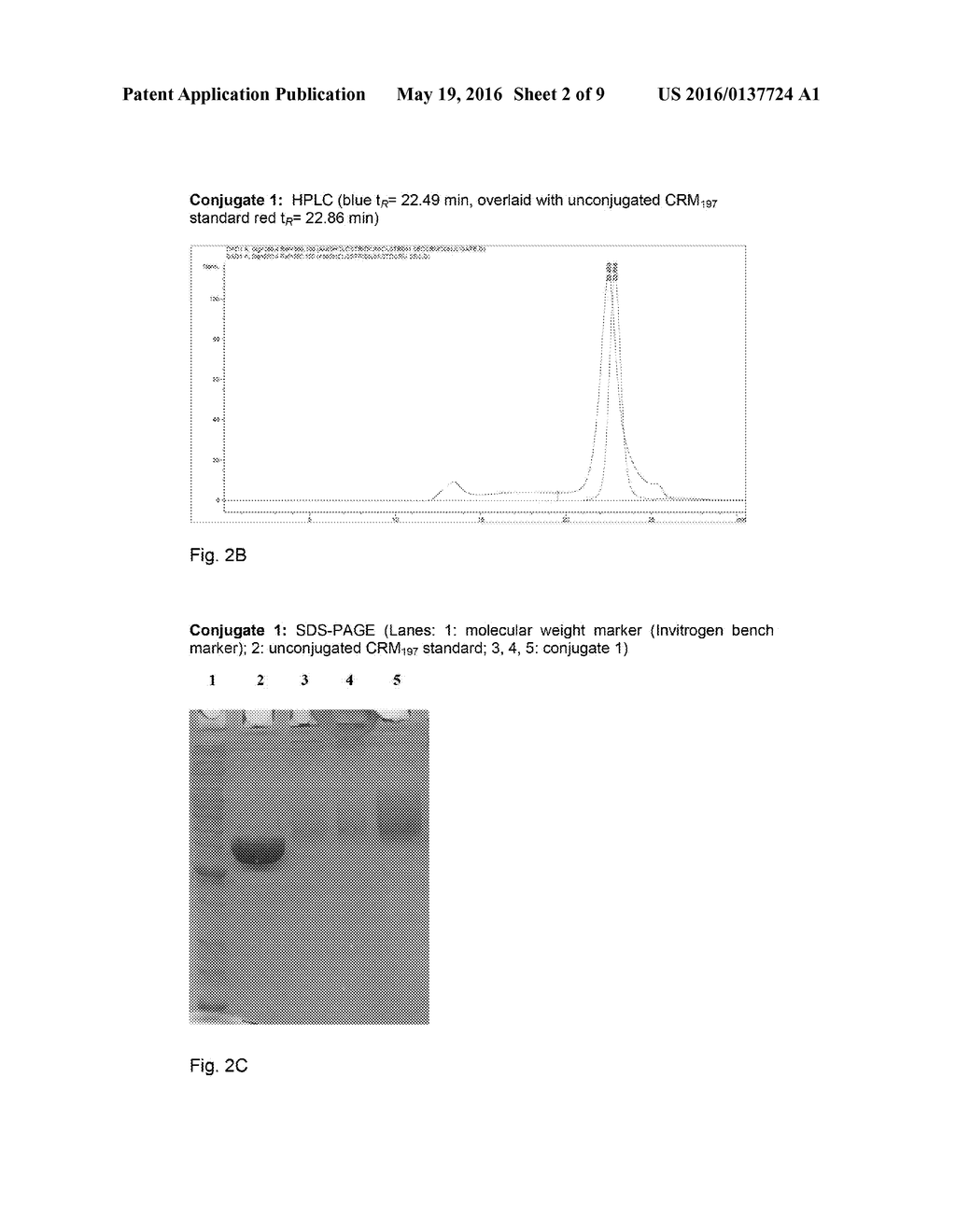 ANTIBODIES FOR PREVENTION AND TREATMENT OF DISEASES CAUSED BY CLOSTRIDIUM     DIFFICILE - diagram, schematic, and image 03