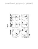 ANTI-CTLA4, ANTI-GLUT2 PROTEIN FOR THE TREATMENT OF TYPE 1 DIABETES diagram and image