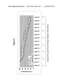 ANTI-CTLA4, ANTI-GLUT2 PROTEIN FOR THE TREATMENT OF TYPE 1 DIABETES diagram and image