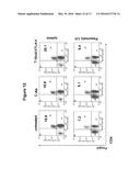 ANTI-CTLA4, ANTI-GLUT2 PROTEIN FOR THE TREATMENT OF TYPE 1 DIABETES diagram and image