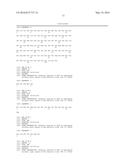 INTEGRIN ALPHA-V BETA8 NEUTRALIZING ANTIBODY diagram and image