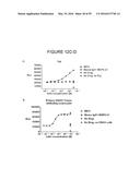 HUMANIZED ANTI-OX40 ANTIBODIES AND USES THEREOF diagram and image