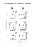 HUMANIZED ANTI-OX40 ANTIBODIES AND USES THEREOF diagram and image